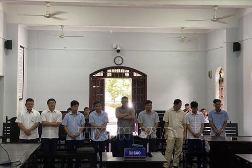 Đắk Nông: Đề nghị tăng hình phạt tù đối với cán bộ sai phạm về đất đai