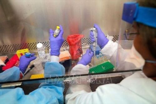 Australia phát hiện hợp chất có thể kiềm chế sự phát triển của virus SARS-CoV-2