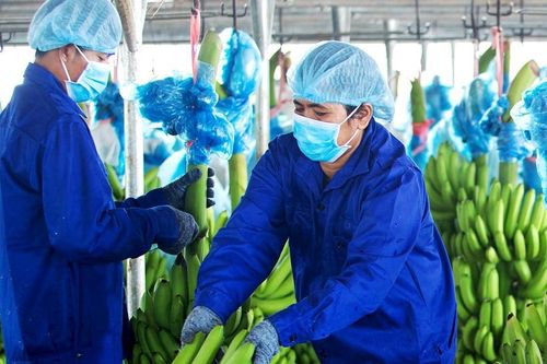 1.700 tỷ đồng công nợ phải thu của HAG được 'bầu' Đức bảo lãnh