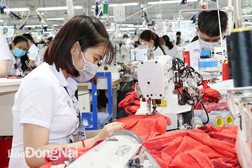 Doanh nghiệp đón đầu RCEP