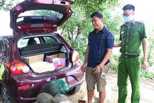 Vận chuyển 6 con Tê Tê trên ô tô