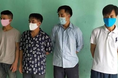 Lật tẩy nhiều màn kịch hoang báo