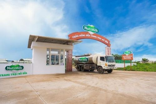 Hai chỉ số quan trọng quyết định chất lượng sữa tươi mẹ cần biết
