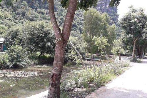 Ninh Bình: Kênh thoát nước núi vùng lõi di sản bị xâm phạm