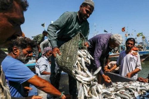 Ngư dân Pakistan lo sợ tàu cá Trung Quốc vơ vét tài nguyên biển