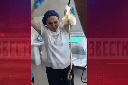 Nữ bệnh nhân bị rắn dài 1m bò vào miệng vì ngủ dưới gốc cây