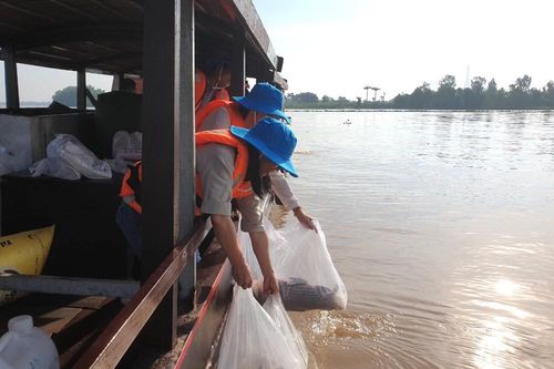 Cần Thơ thả 30.000 con cá giống để tái tạo nguồn lợi thủy sản