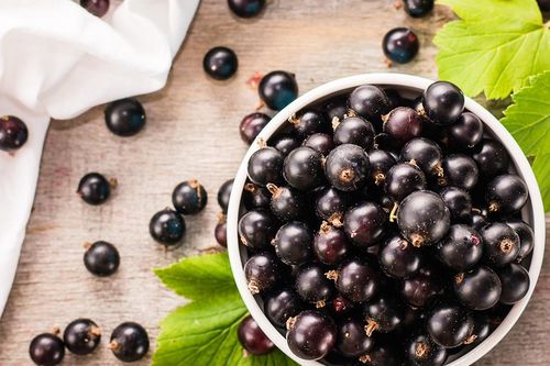 Nghiên cứu thuốc điều trị COVID-19 từ quả acai berry