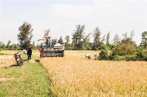 Khẳng định vị thế của hợp tác xã trong tái cơ cấu nông nghiệp