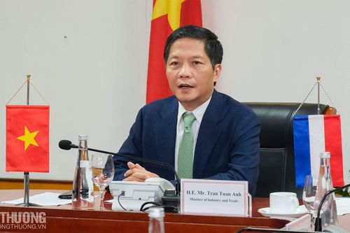 Việt Nam - Hà Lan thúc đẩy hợp tác thực thi hiệu quả Hiệp định EVFTA