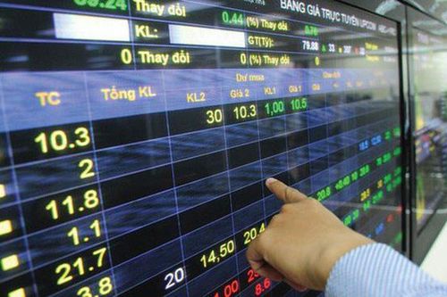 Xử phạt thành viên Hội đồng quản trị MVC do báo cáo không đúng thời hạn