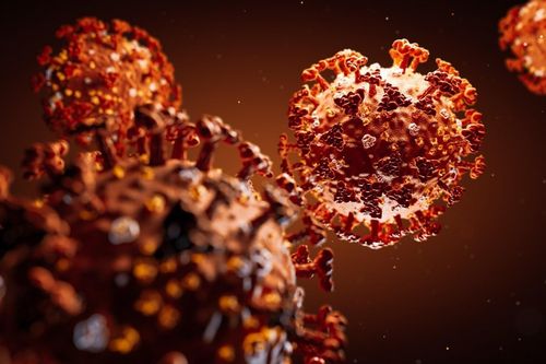 SARS-CoV-2 xâm nhập tế bào như thế nào?