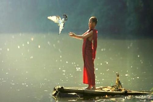Phóng sinh trong ngày Rằm tháng 7: Phật pháp không khuyến khích phóng sinh