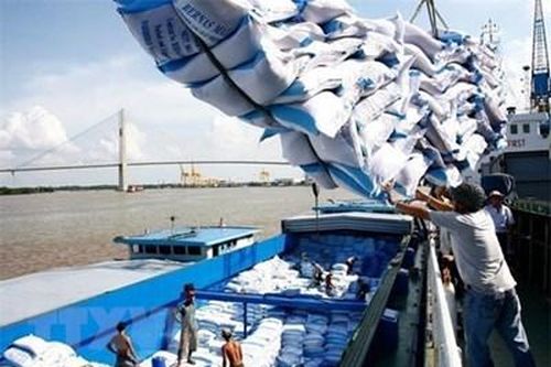 Để gạo Việt tiếp tục lập những kỷ lục mới