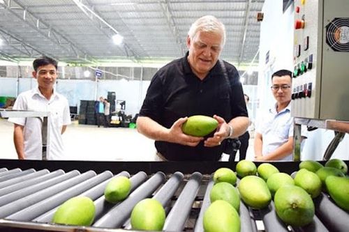 Chuyên gia Hoa Kỳ trở lại Việt Nam kiểm dịch trái cây xuất khẩu