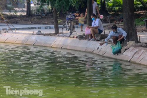 Phóng sinh 'đủ món' ra hồ Hoàn Kiếm ngày rằm tháng 7