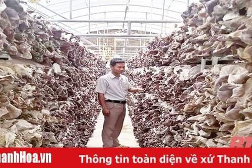 Bài 2: Những ông chủ HTX '8x, 9x'