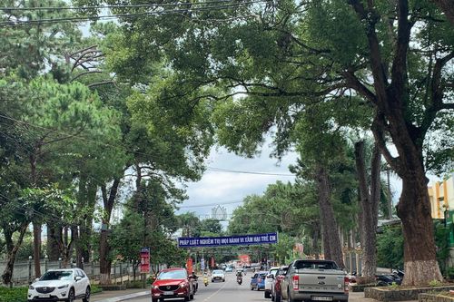 Gia Lai: Bình yên Tết Độc lập