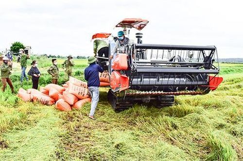 Giúp nhau trong mùa dịch