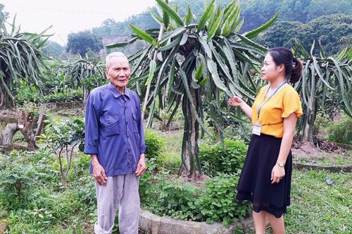 Cách mạng Tháng Tám trong ký ức của người lính già