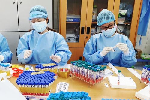 Ngày 4/9, xét nghiệm COVID-19 đại diện 71.000 hộ gia đình toàn Đà Nẵng