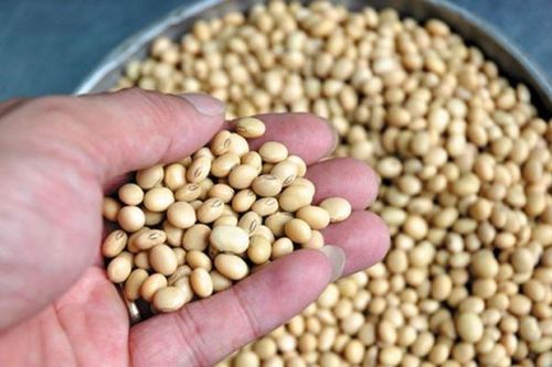 Thực phẩm không nên sử dụng trước khi yêu