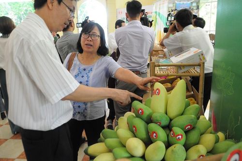 Chuyên gia Mỹ sang Việt Nam 'gỡ khó' khâu kiểm dịch trái cây xuất khẩu