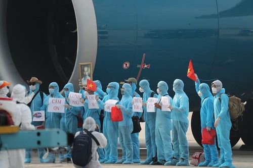 Đã đưa được hơn 3.000 lao động Việt Nam làm việc ở nước ngoài về nước