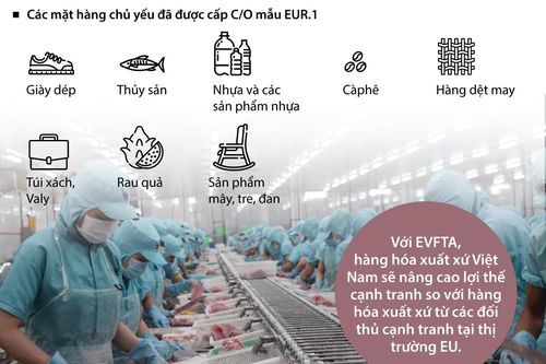 Cấp hơn 7.200 bộ chứng nhận xuất xứ hàng hóa đi EU