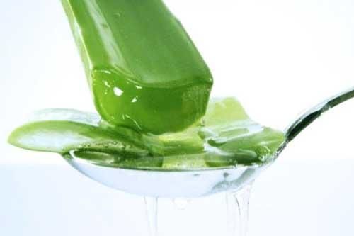 3 loại lá cây giúp trị gàu nhanh chóng, hiệu quả