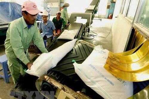 Doanh nghiệp tăng chất lượng gạo để vào thị trường EU