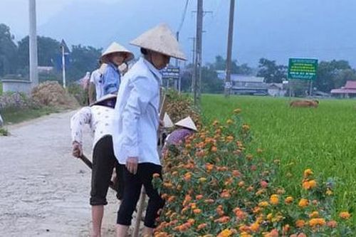 Ngày thứ 7 tình nguyện về cơ sở xây dựng nông thôn mới ở Phù Yên