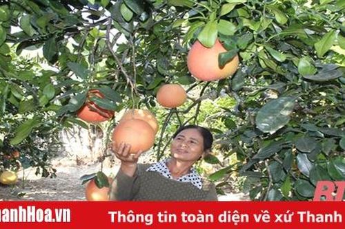 Sản phẩm nông nghiệp đặc hữu – hướng đi mới của nông nghiệp hiện đại