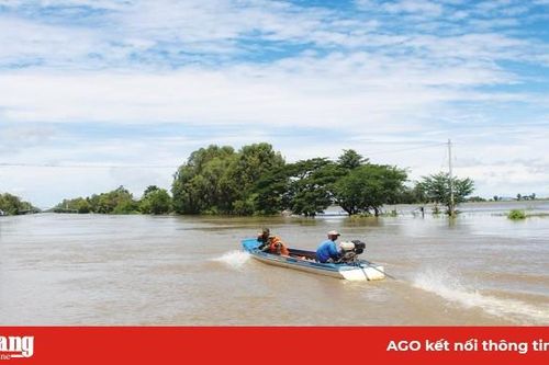 Tăng cường ứng phó thiên tai