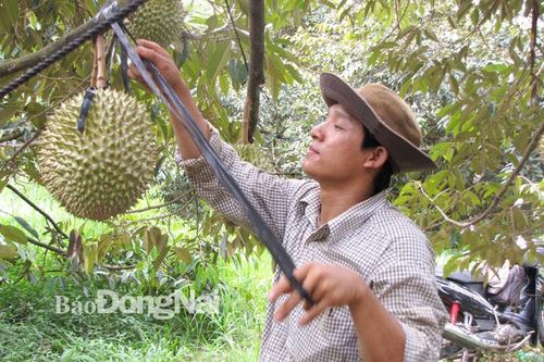 Mời gọi đầu tư vào nhiều lĩnh vực