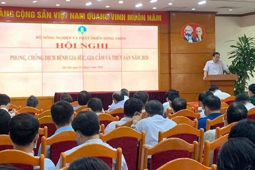 Đã có 98% số xã công bố hết bệnh Dịch tả lợn châu Phi