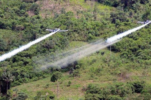 Nhiều rủi ro khi Colombia muốn phun hóa chất để ngăn chặn cocaine