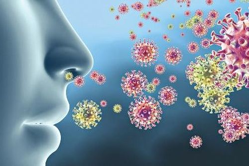 Hình ảnh của tế bào đường thở chứa nCoV