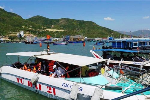 Đìu hiu mùa vàng, doanh nghiệp hụt hơi
