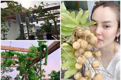 Vườn cây trái trong biệt thự của Hoa hậu tự tay rửa chân cho chồng
