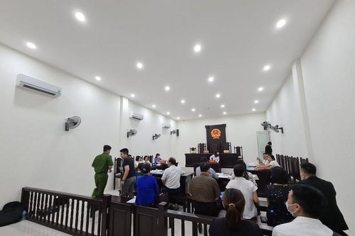 Phúc thẩm tranh chấp Cty TDS - Trường Newton: Vì sao tòa chưa tuyên án?