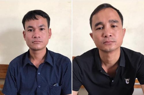 Nghệ An: Bắt giam nam thanh niên rủ bạn chặt phá rừng để trồng keo