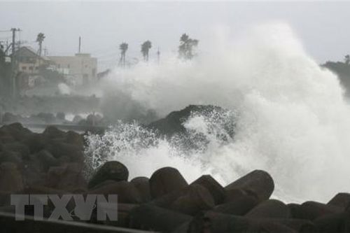Bão Maysak gây thiệt hại lớn tại Nhật Bản và Trung Quốc