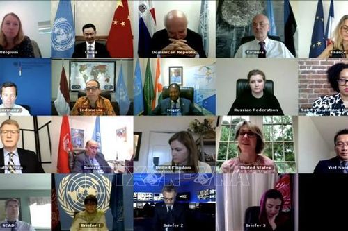 Việt Nam ủng hộ tiến trình hòa bình toàn diện tại Afghanistan