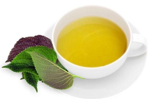 Bất ngờ với lợi ích của nước lá tía tô