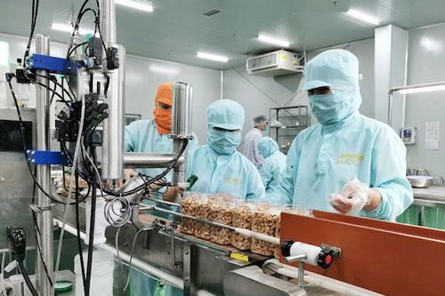Vượt 'cửa ải' xuất xứ để tối đa lợi ích từ EVFTA