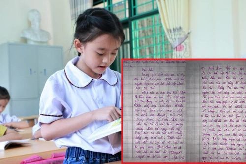 Bài văn tả anh trai với vô số lời khen ngợi cùng chỉ số IQ cực 'đỉnh' của cô bé tiểu học khiến CĐM cười ngất