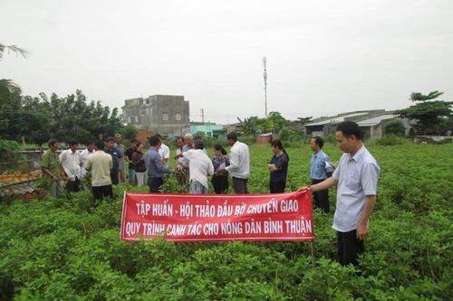 Viện Nghiên cứu Dầu và Cây có dầu: Bảo tồn và lưu giữ giống quý