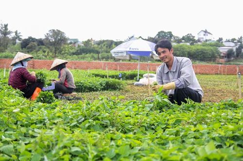 Khi nông dân chú trọng trồng rau an toàn