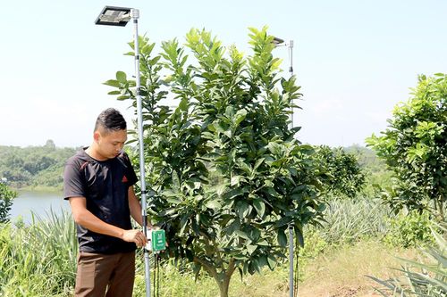 Nâng cao năng lực tiếp cận cuộc cách mạng công nghiệp 4.0
